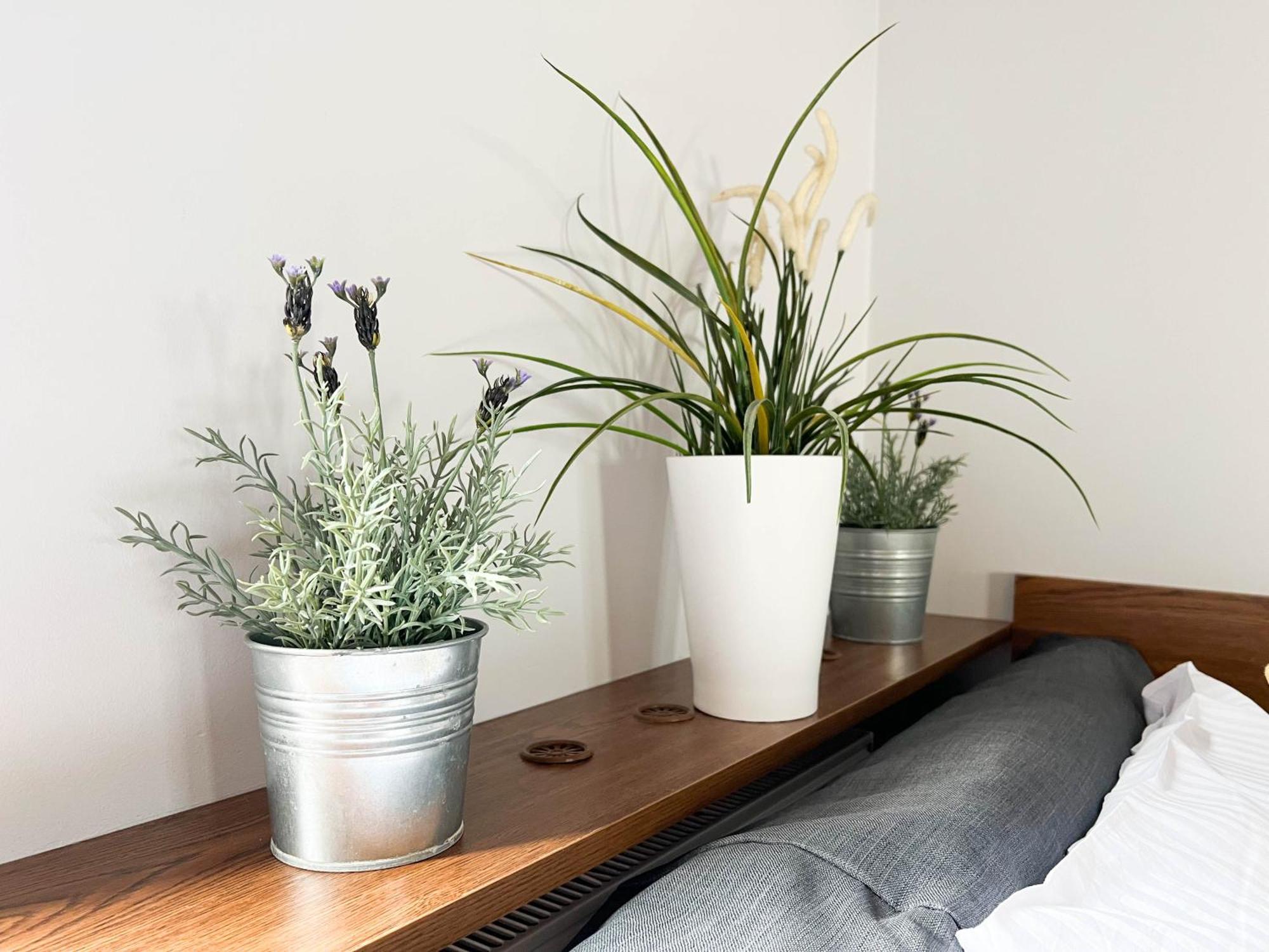 3D Szlak 77 Apartament Kraków Exteriör bild